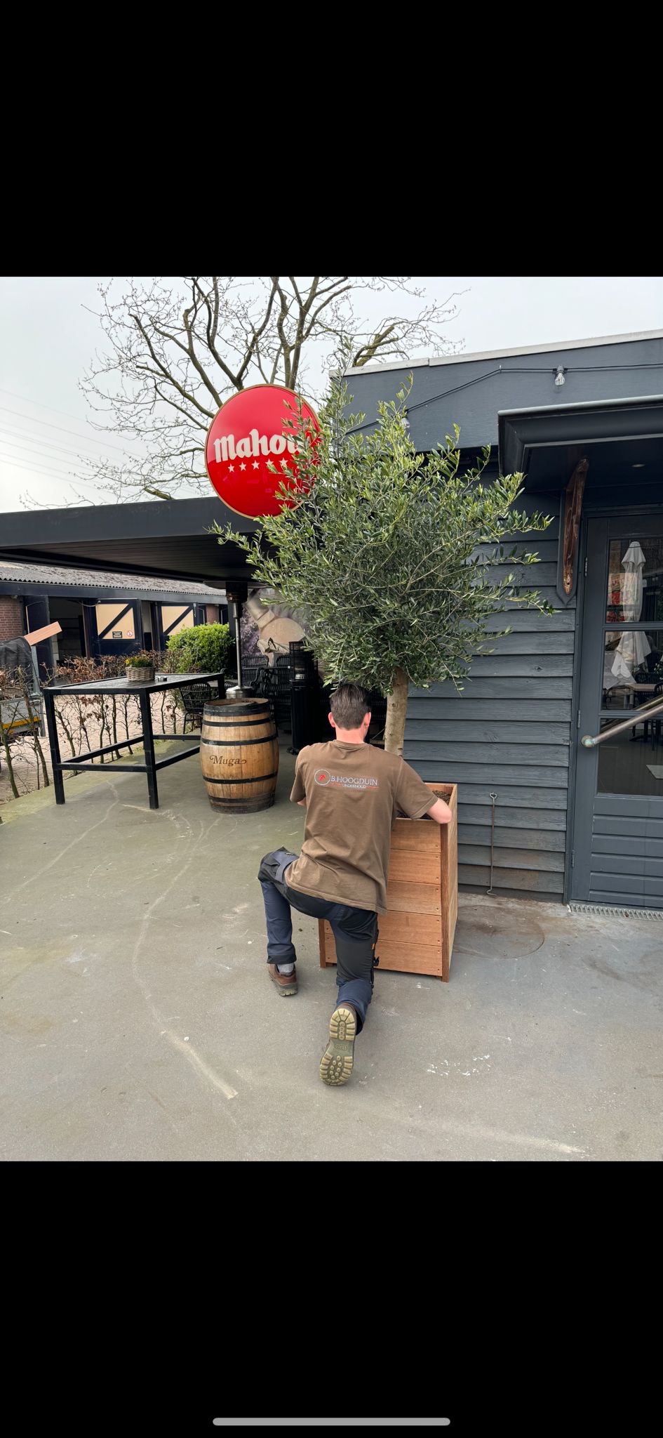 Hoogduin Onderhoud aan het werk in de Bollenstreek